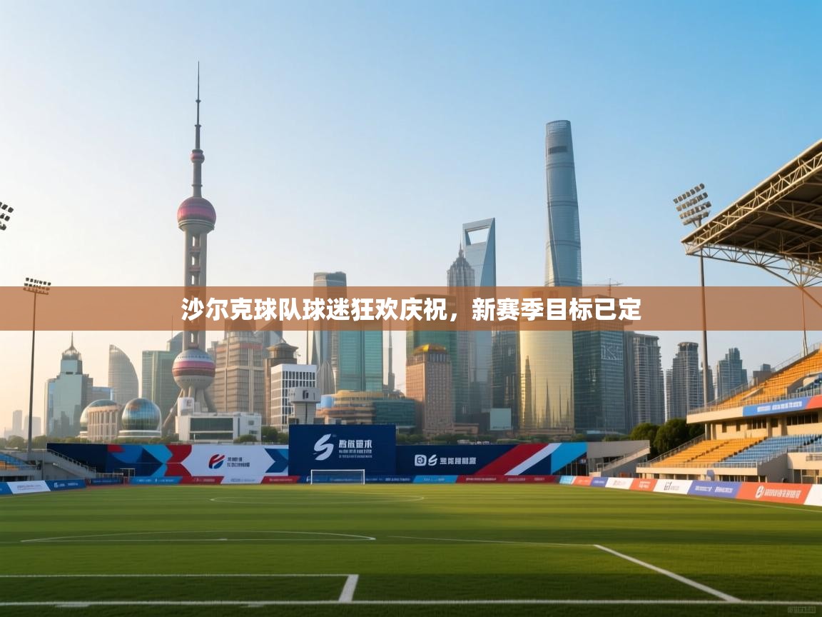 沙尔克球队球迷狂欢庆祝，新赛季目标已定  第2张