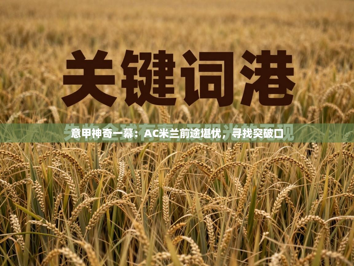 意甲神奇一幕：AC米兰前途堪忧，寻找突破口  第2张